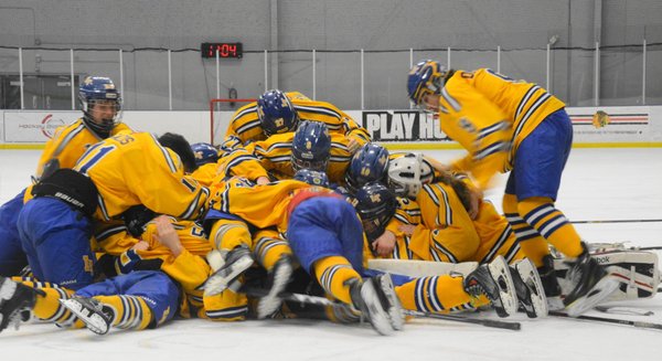 Hockey coaching jobs in illinois