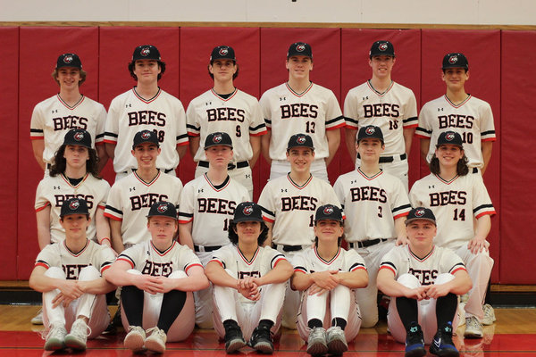 Bees Baseball