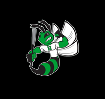  25-U14 HIGHLAND HORNETS