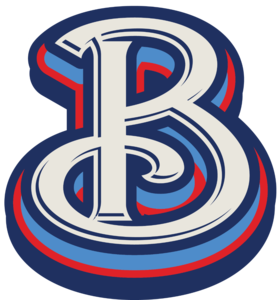  Batavia Youth Baseball