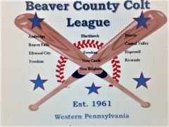 BCCL LOGO