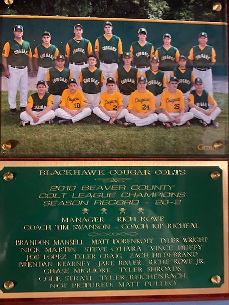 2010 BCCL Champions