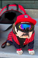 Bulldogs Baseball Bulldogs Baseball
