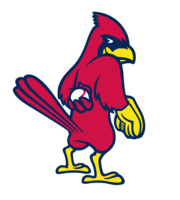  Cardinals Franchise