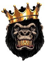 Charleston Mens Adult Baseball League Silverbacks