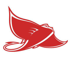 Charleston Mens Adult Baseball League Stingrays