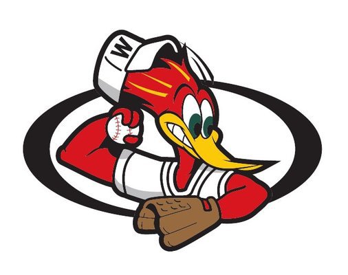  40 Woodpeckers