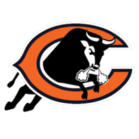  Bulls 