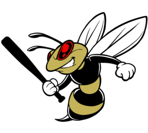  Sting 