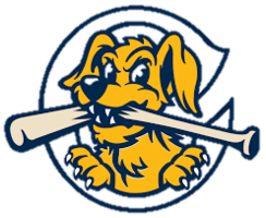  Riverdogs