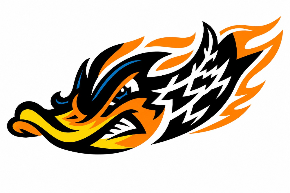  Ducks