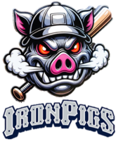  Iron Pigs