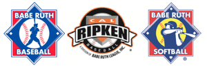 DAVIDSON COUNTY Babe Ruth League