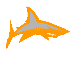  Beekman Sharks 
