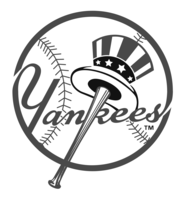 Hudson Valley Yankees