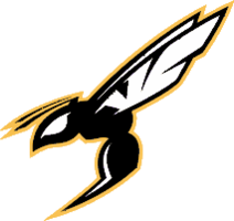  Ham Lake Hornets