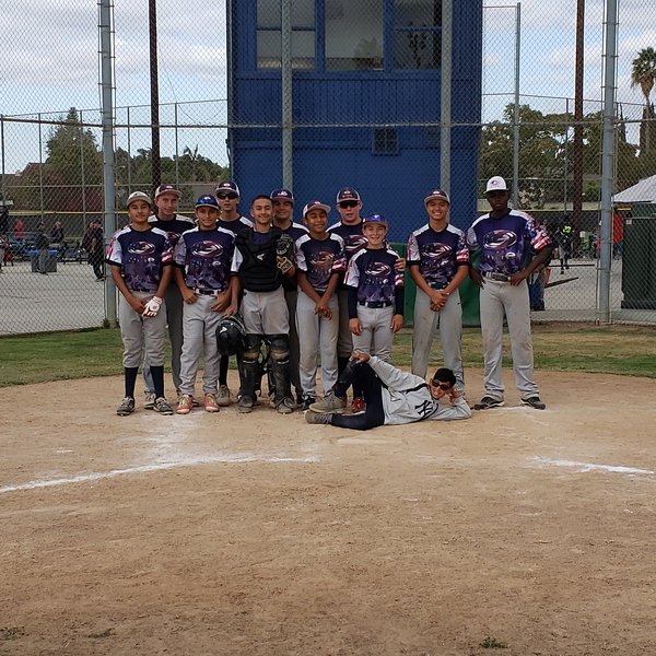 Elite Sports USA Baseball