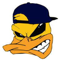  Meredith MudDucks