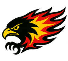  Livonia Firebirds