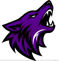  Bay County Coyotes