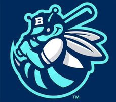  Byron Center Killer Bees