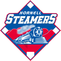  Hornell Steamers