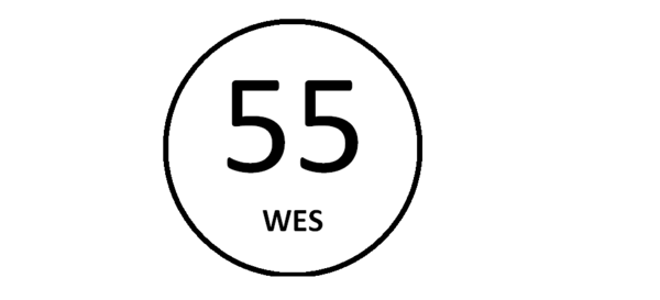 In Remembrance - THOR - a Falcon and a friend...