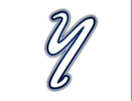  Yankees - past