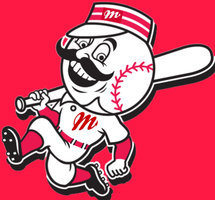  Reds ( Rec AA Fall )