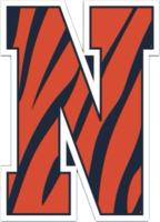  Tigers (AAA)