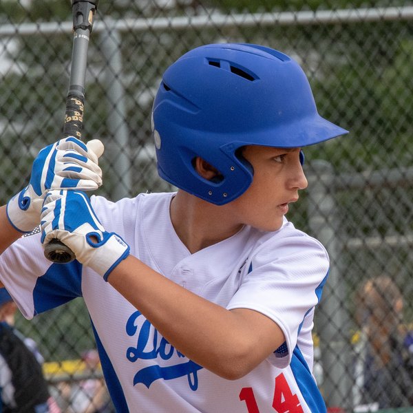 Home — Illinois Dodgers Travel Baseball