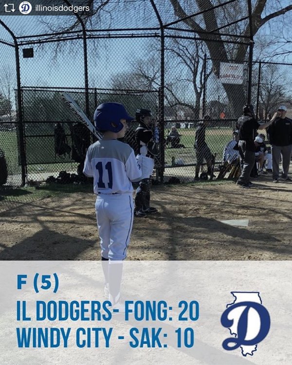 Home — Illinois Dodgers Travel Baseball