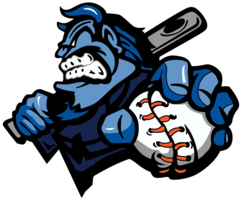  Lincoln-Way Blue Demons