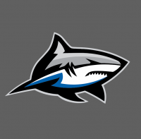  Bull Sharks