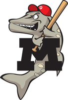 Amateur Baseball Since 1978 Beecher Muskies