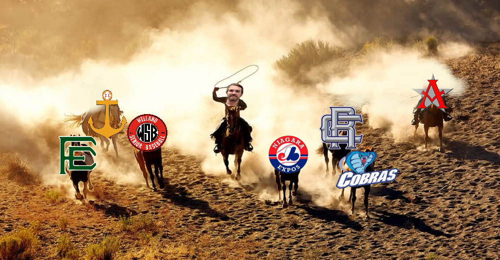 It's a recap of all things Week 12 in the NDBA