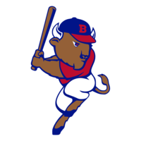  Bedford Bisons