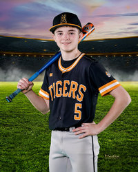 North Allegheny Tiger Baseball Home Page