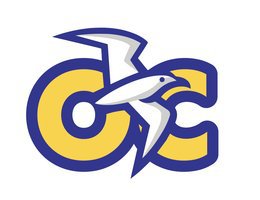 Nguyen Lawyers OC Gulls