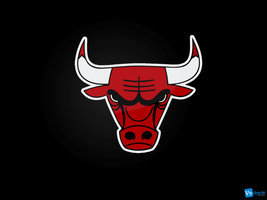  CD Bulls