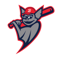  The Bats