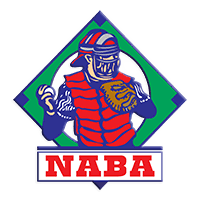 A Little League for Adults Pittsburgh NABA