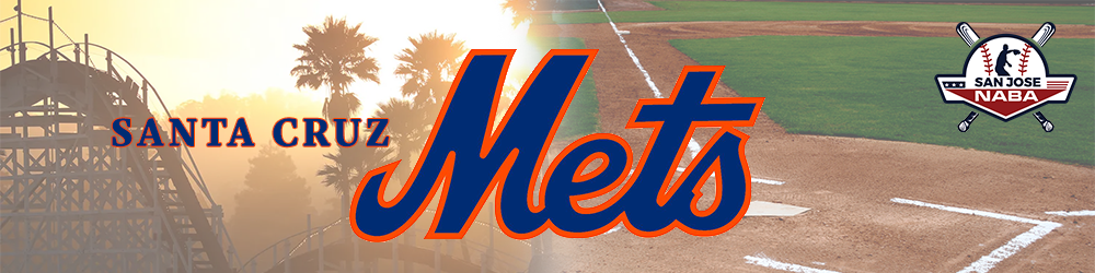  Santa Cruz Mets