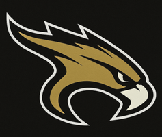 Toledo Hawks