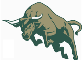  Raging Bulls