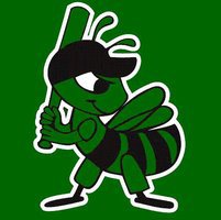  Slinger Stingers