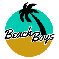  Beach Boys