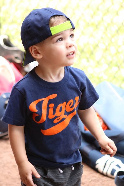 SJ Tigers Fan