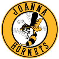 The Joanna Project  Joanna Hornets