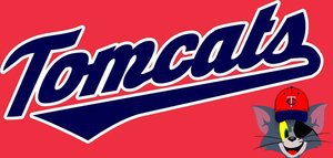  Tomcats